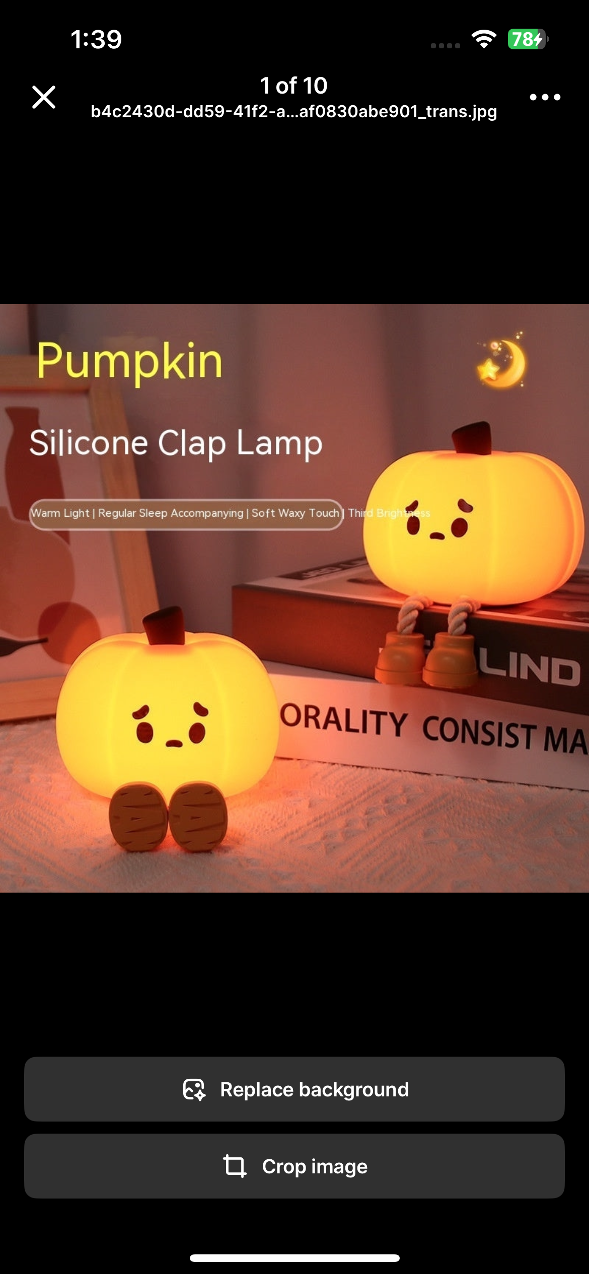 Decorative Accessories